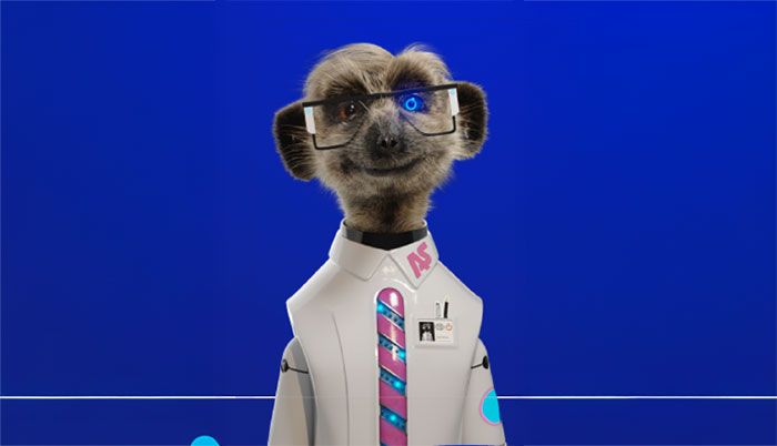 Making AutoSergei real with Meer-tech