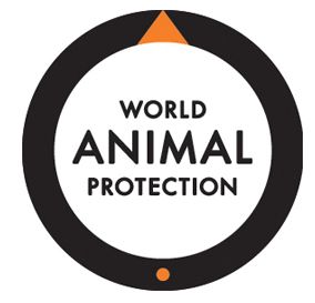 World Animal Protection